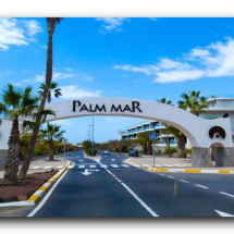 palm mar front